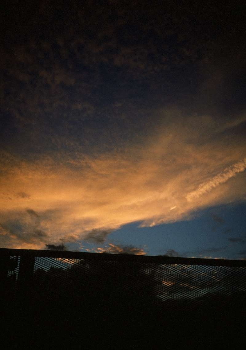 写真30